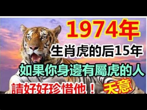 2024啥年 屬虎的今年幾歲